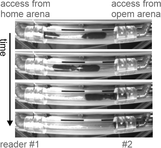 A connecting tube with the RFID readers at both ends