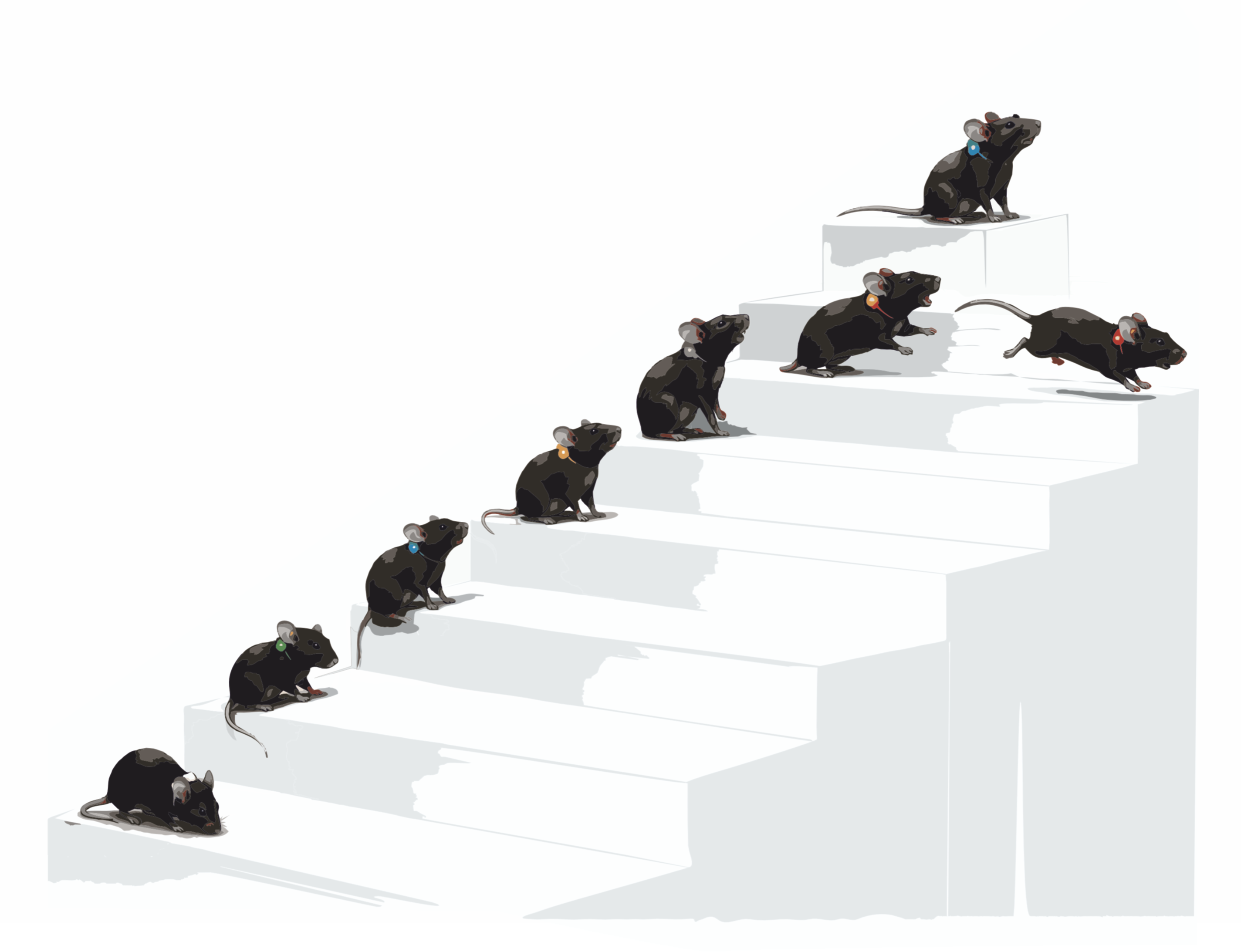 Illustration of individually tagged mice ascending a staircase — the NoSeMaze follows each individual as it learns, competes, and climbs the social hierarchy