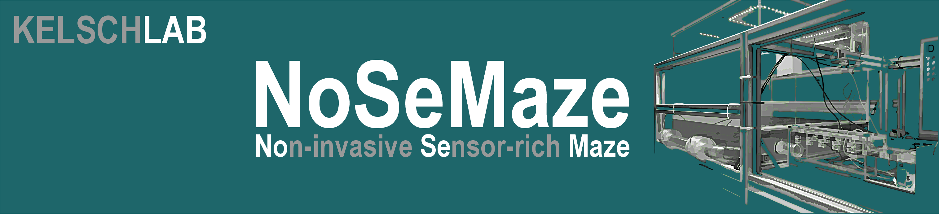 NoSeMaze — Non-invasive Sensor-rich Maze