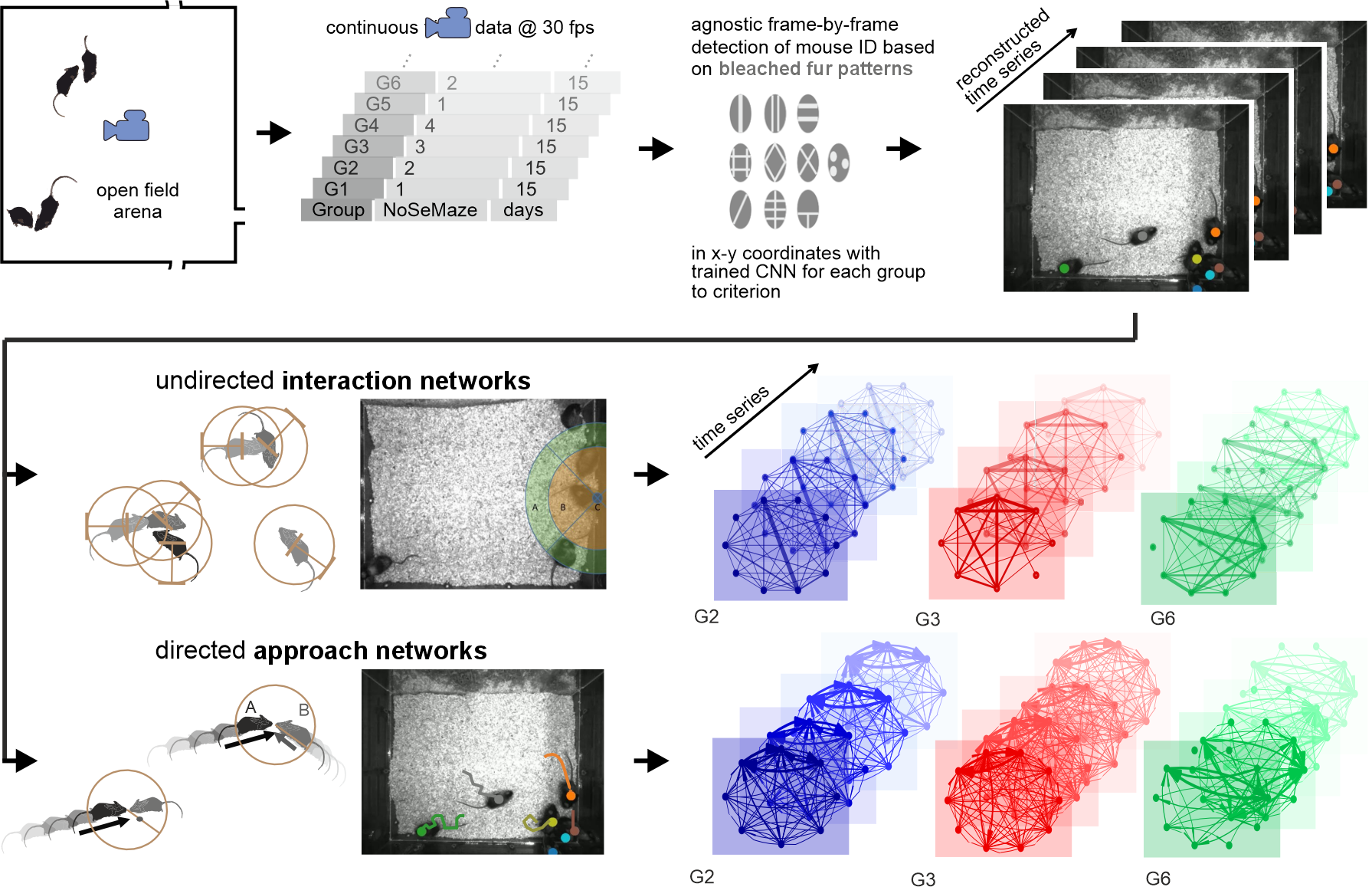 Social-network analysis pipeline: from overhead video through pose tracking to social-interaction networks and rich-clubs.